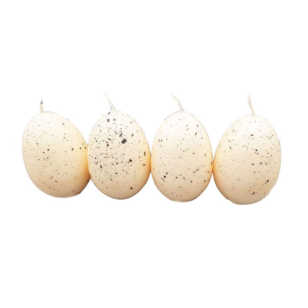 Kerze Vogelei 80x120mm 4 Stück Creme 