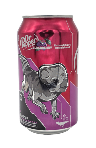 [P0002811] Dr Pepper USA Blackberry 355ml